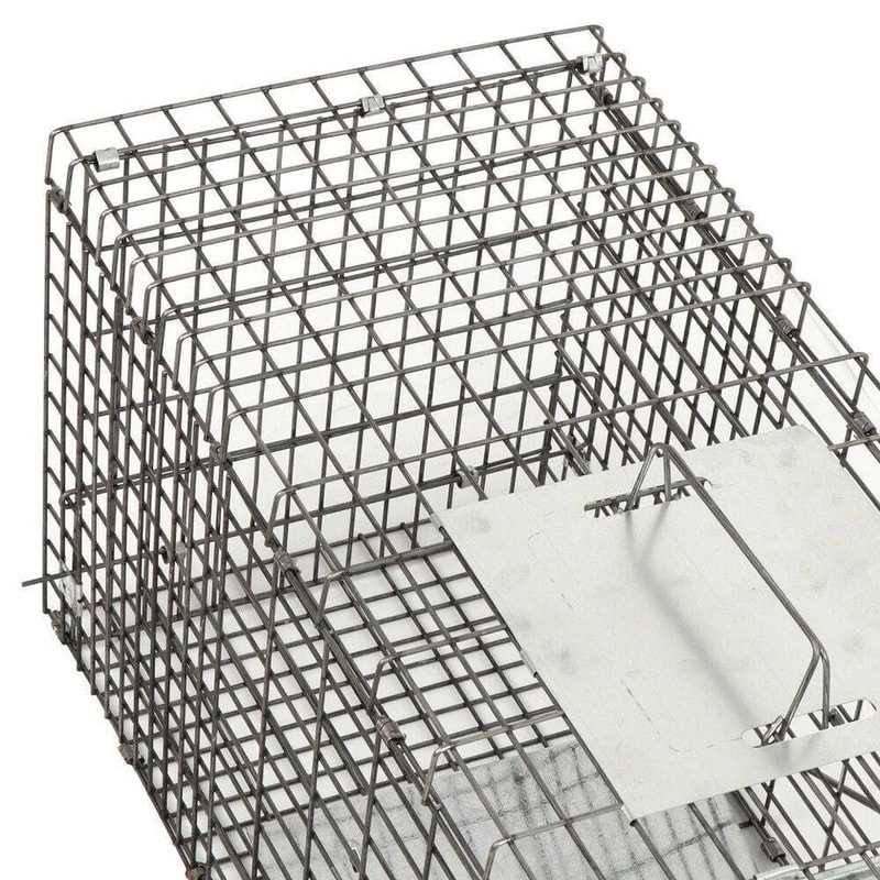 Humane Large Animal Trap Spring Loaded Easy To Bait Release Strong Frame Safe And Durable For Home 6