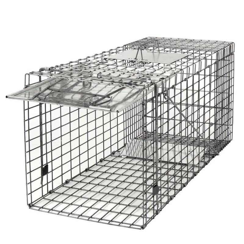 Humane Large Animal Trap Spring Loaded Easy To Bait Release Strong Frame Safe And Durable For Home 7