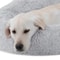 Calming Fur Donut Cuddler For Dogs And Cats Soft Polyester Bed Warmer Pet Bed For Joint Pain Relief 3