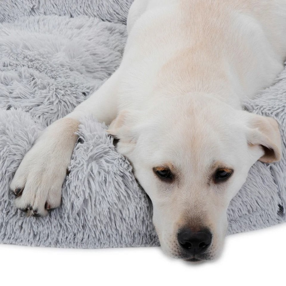 Calming Fur Donut Cuddler For Dogs And Cats Soft Polyester Bed Warmer Pet Bed For Joint Pain Relief 6