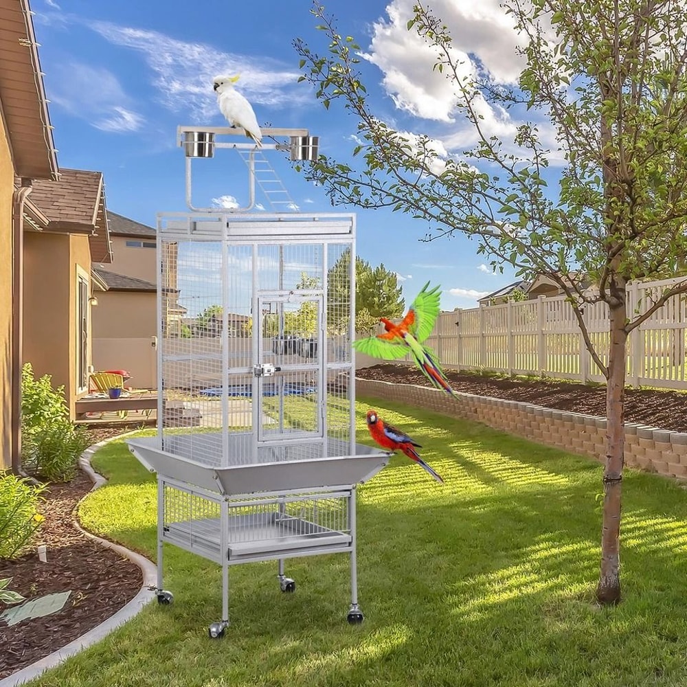 Playtop Parrot Cage Durable NonToxic Coated Steel Spacious Design With Ladder And Perches Removable 7