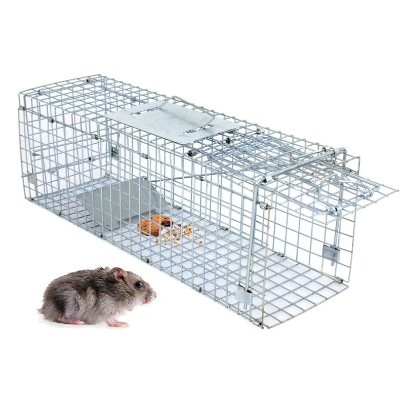 Steel Cage Live Animal Traps For Rodent Control Safe And Humane Rat Squirrel Skunk Traps Easy To 1