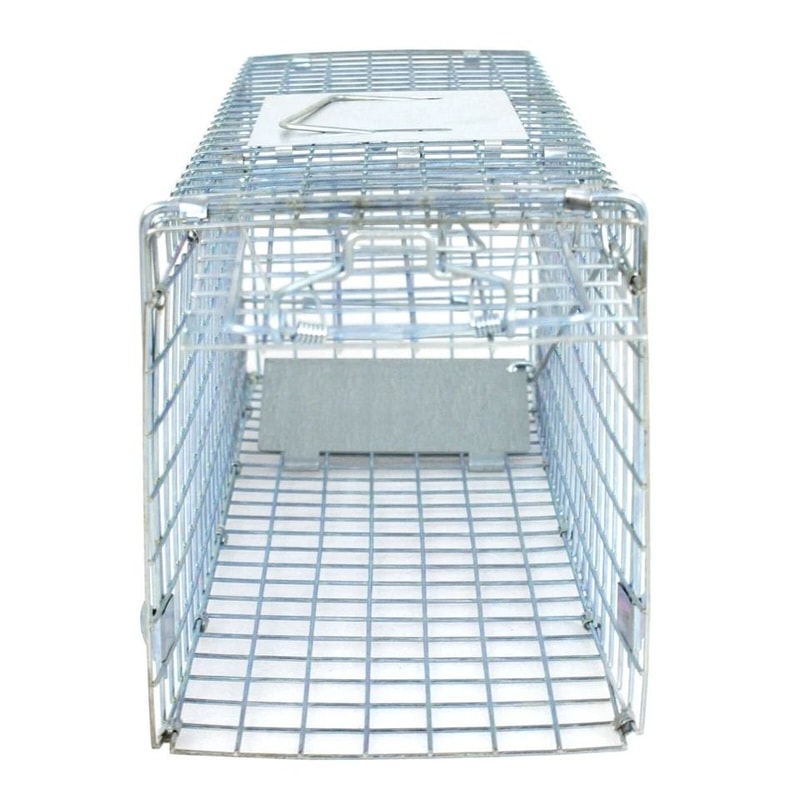 Steel Cage Live Animal Traps For Rodent Control Safe And Humane Rat Squirrel Skunk Traps Easy To 2