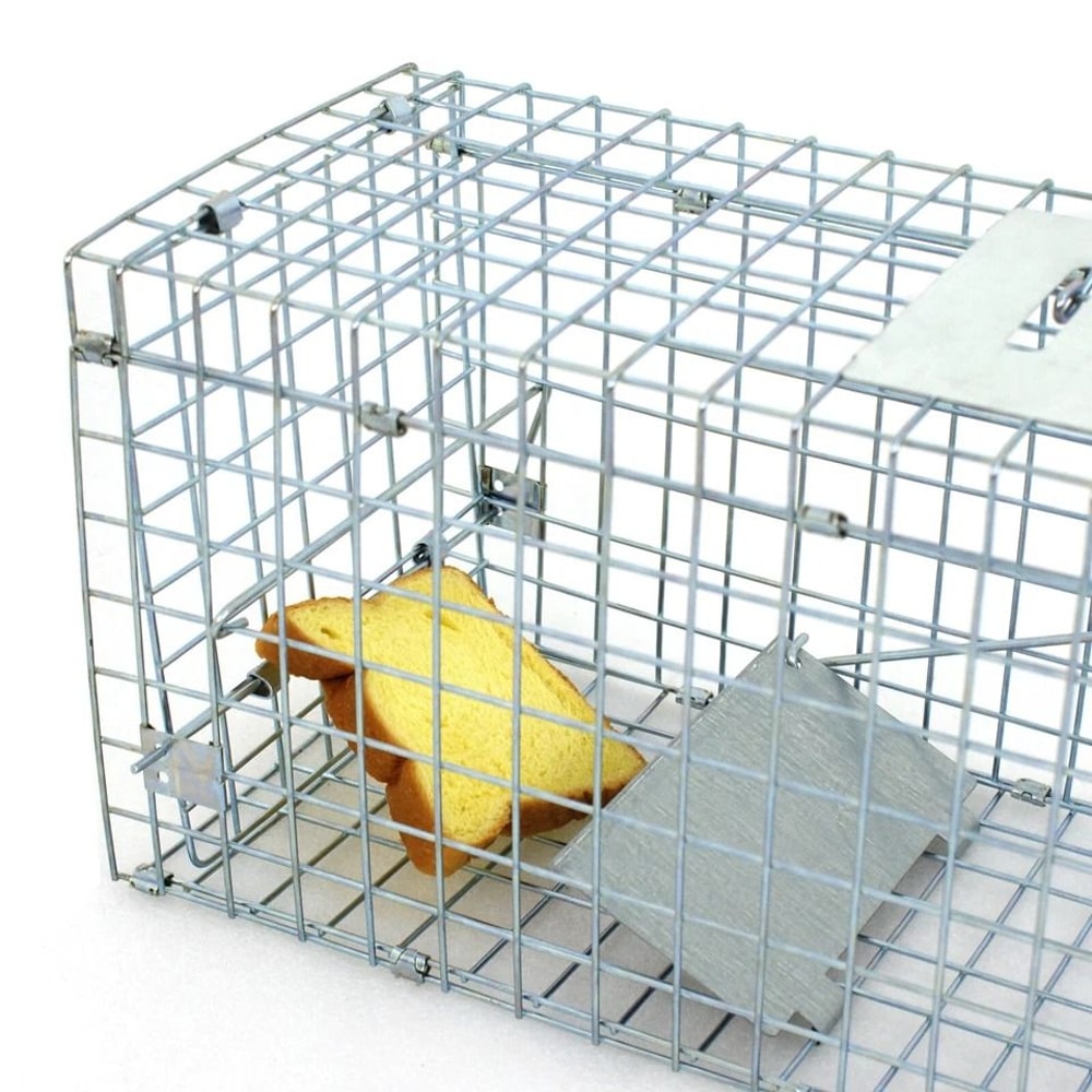 Steel Cage Live Animal Traps For Rodent Control Safe And Humane Rat Squirrel Skunk Traps Easy To 3
