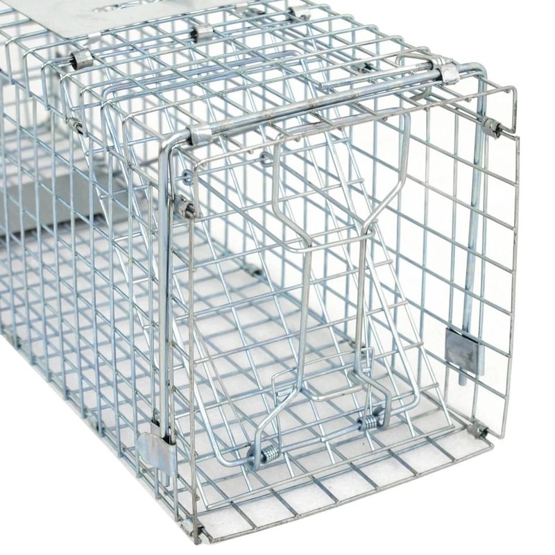 Steel Cage Live Animal Traps For Rodent Control Safe And Humane Rat Squirrel Skunk Traps Easy To 4