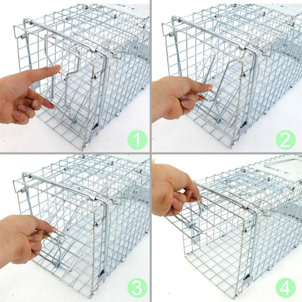 Steel Cage Live Animal Traps For Rodent Control Safe And Humane Rat Squirrel Skunk Traps Easy To 5