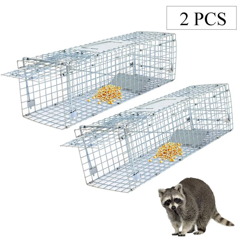 Steel Cage Live Animal Traps For Rodent Control Safe And Humane Rat Squirrel Skunk Traps Easy To 7