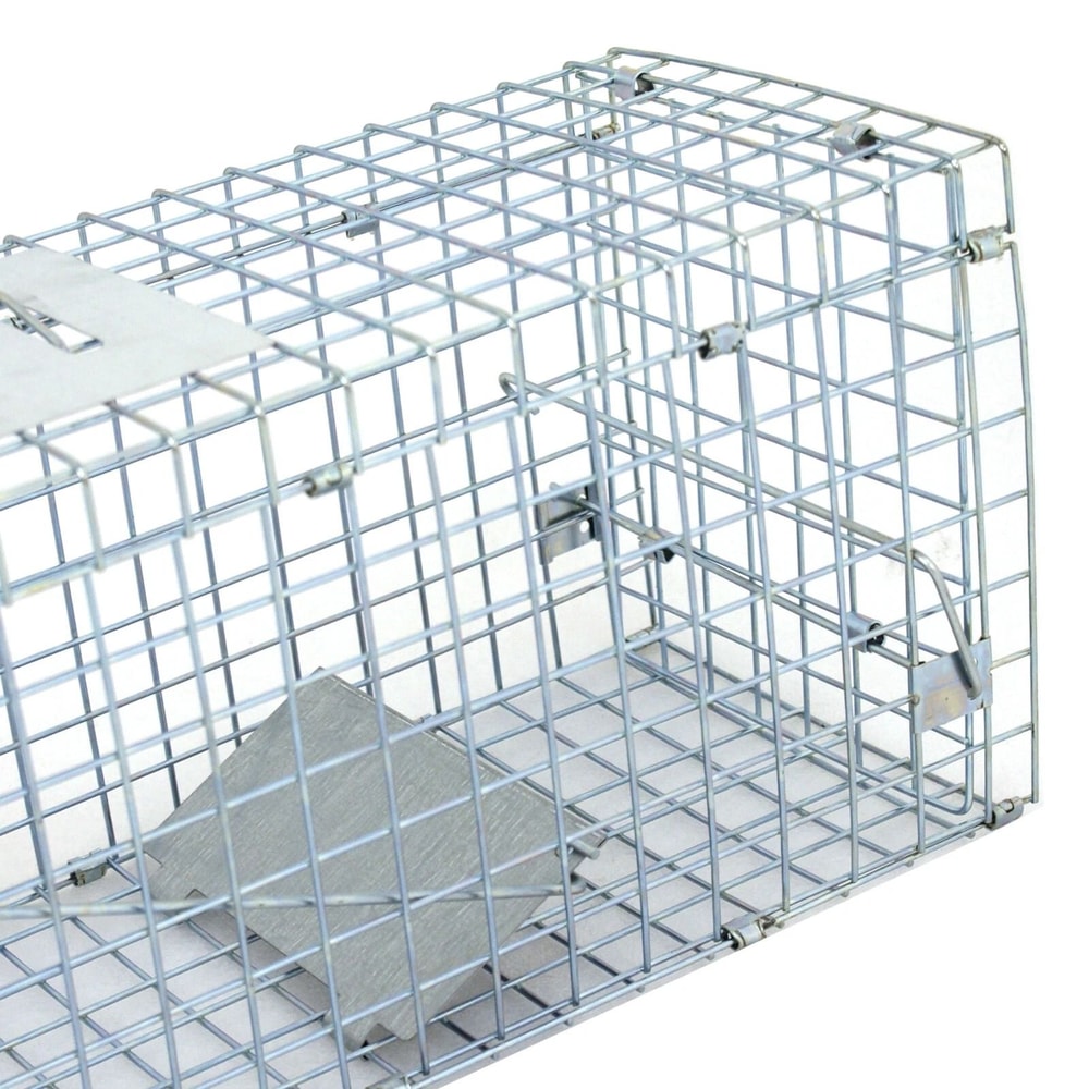 Steel Cage Live Animal Traps For Rodent Control Safe And Humane Rat Squirrel Skunk Traps Easy To 8