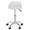 Adjustable Rolling Swivel Stool Degree Spa Salon White Tattoo Facial Massage Chair Soft Cushion 2