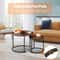Round Modern Nesting Coffee Table Set Accent Table For Living Room 2