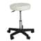 Adjustable Rolling Tattoo Chair Hydraulic Salon Stool Spa White PU Leather Cushion 0