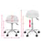 White Salon Stool With Back Hydraulic Rolling Spa Stool Rest Saddle Adjustable Height 9