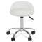 White Salon Stool With Back Hydraulic Rolling Spa Stool Rest Saddle Adjustable Height 8