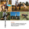 Adjustable Frequency Dog Whistle Stop Barking Hot Pet Training Stainless Steel Obedience Whistle 4