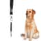 Silent Sound Dog Whistle Stop Barking Adjustable Training Tool With Strap Dog Obedience Whistle 3