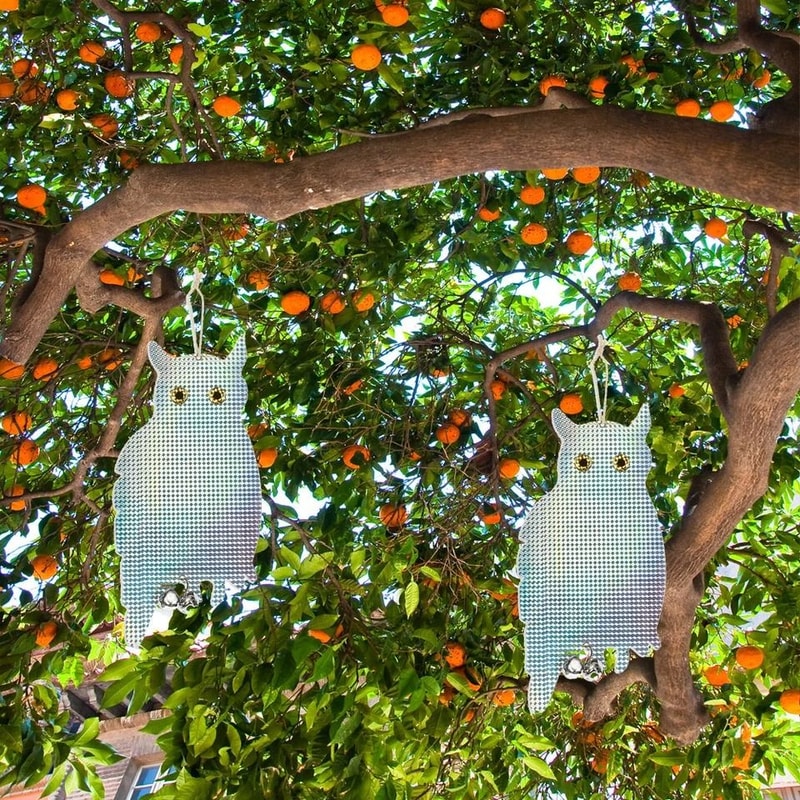 Scarecrow Owl Decoy Reflective Bird Repellent Pigeon Squirrel Deterrent Device For Garden Balcony 1