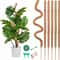 Bendable Moss Pole Plant Support Stakes For Monstera Indoor Climbing Plants Support Poles For Stron 0