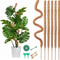 Bendable Moss Pole Plant Support Stakes For Monstera Indoor Climbing Plants Support Poles For Stron 0