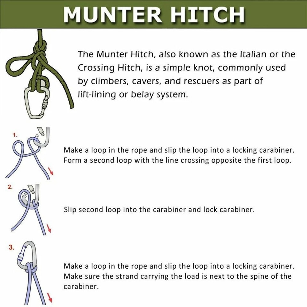 Outdoor Rock Climbing Carabiner Aluminum Alloy Screw Locking DShape Hook 10