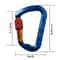 Outdoor Rock Climbing Carabiner Aluminum Alloy Screw Locking DShape Hook 2