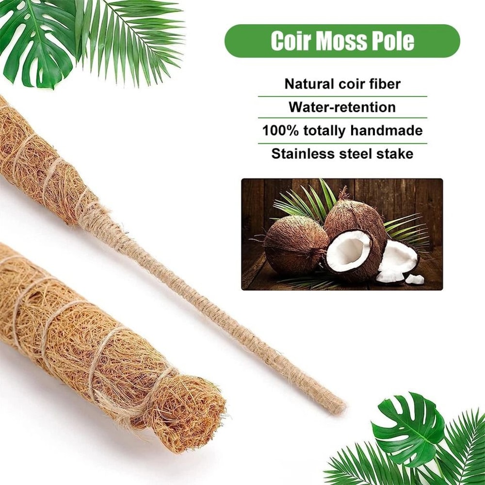 Coir Moss Pole For Climbing Plants Monstera Support Stick For House Plants Totem Support For Philod 2
