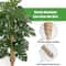 Coir Moss Pole For Climbing Plants Monstera Support Stick For House Plants Totem Support For Philod 3