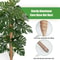 Coir Moss Pole For Climbing Plants Monstera Support Stick For House Plants Totem Support For Philod 3
