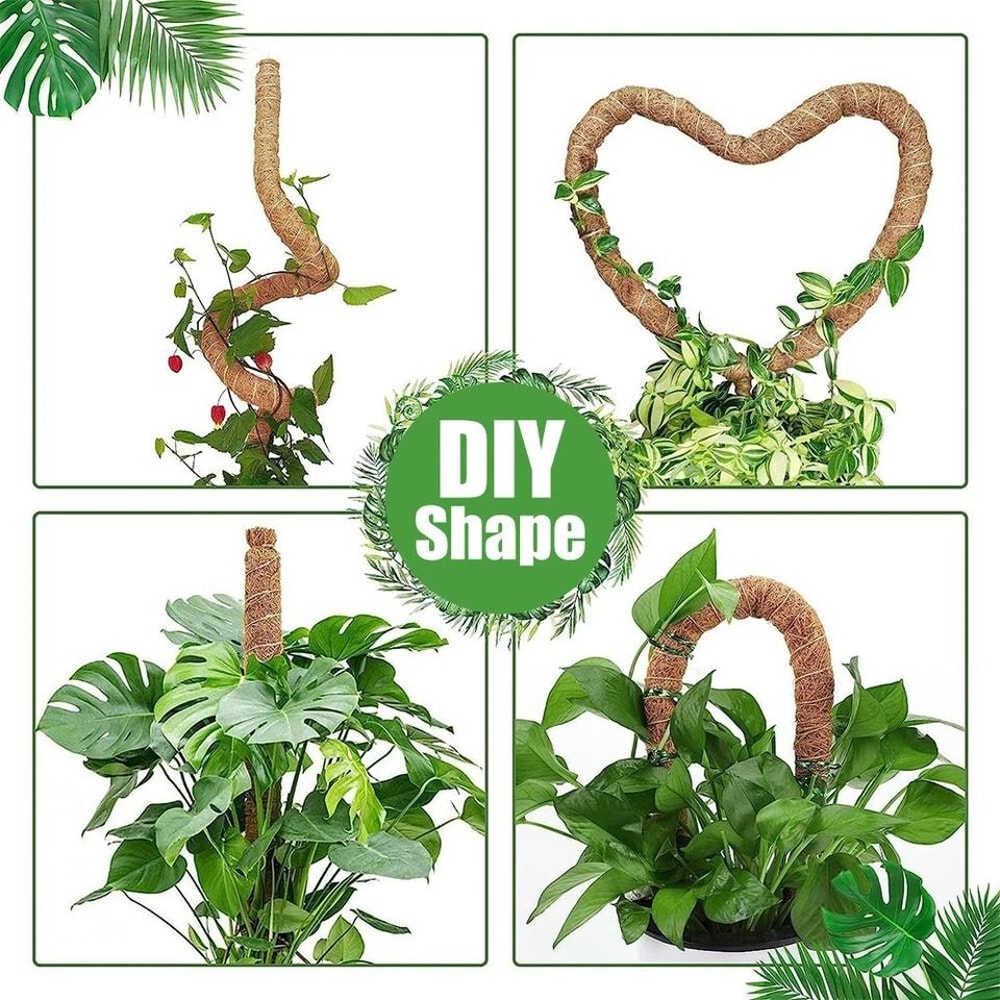 Coir Moss Pole For Climbing Plants Monstera Support Stick For House Plants Totem Support For Philod 7