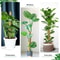 Coir Moss Pole For Climbing Plants Monstera Support Stick For House Plants Totem Support For Philod 8