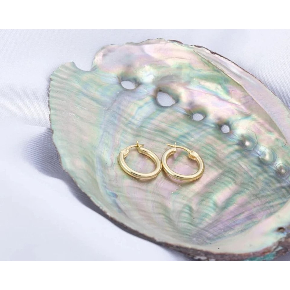 Sterling Silver Yellow Gold French Lock Hoop Earrings Hoop Stylish Earrings For Men And Women Perfe 1