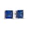 Sterling Silver Princess Cut Sapphire Earrings Womens Cubic Zirconia Studs Clear CZ Sapphire Stud E 1