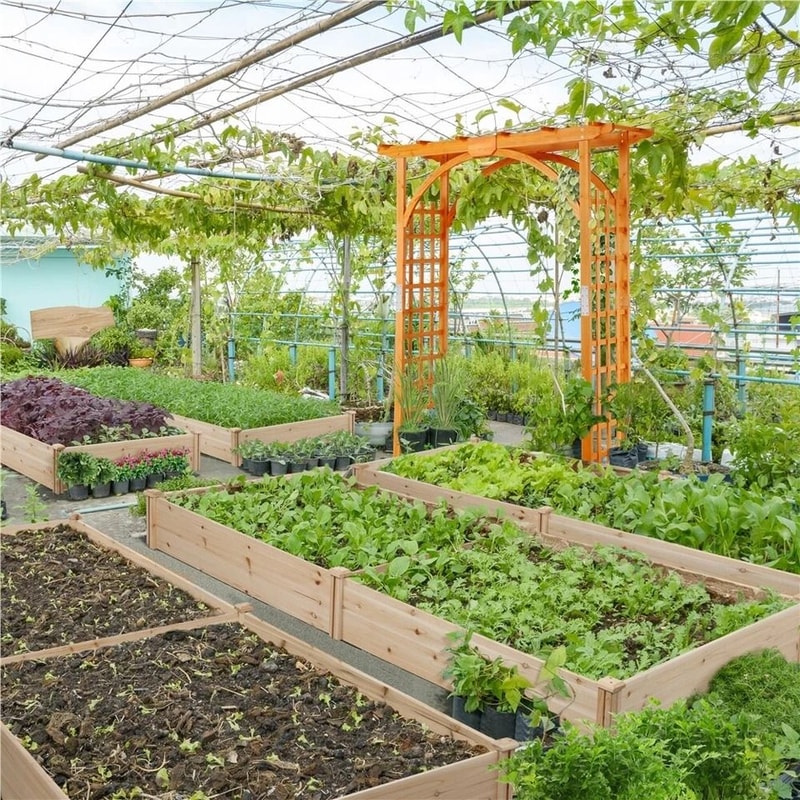 Raised Garden Bed Kit Wooden Planter Box For Outdoor Use Grow Vegetables Flowers Herbs NonToxic Fi 8