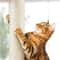 Adjustable FloortoCeiling Cat Tree Tower Condo Scratching Posts For SmallMedium Cats 10