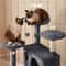Multilevel Cat Tree Tower Condo With Scratching Posts And Perches Dark Gray 6