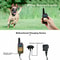 Remote Dog Shock Training Collar Rechargeable Waterproof LCD Pet Training System With Range 7