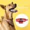 Automatic Anti Bark Dog Collar With Smart Bark Detection And Adjustable Training Modes 14