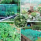 Durable Anti Bird Netting For Garden Plants Trees Fruits 2