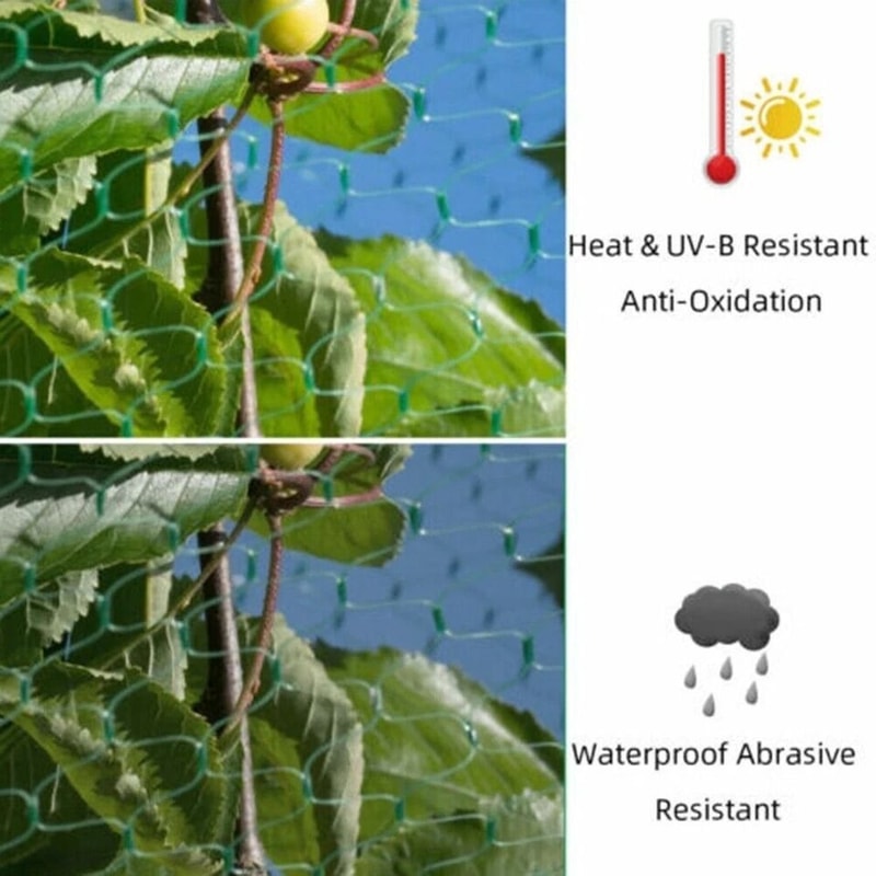Durable Anti Bird Netting For Garden Plants Trees Fruits 12