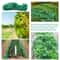 Durable Anti Bird Netting For Garden Plants Trees Fruits 4