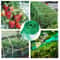 Durable Anti Bird Netting For Garden Plants Trees Fruits 17