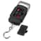 Portable Digital Fish Scale Travel Hanging Luggage Weighing Scale LCD Display 3