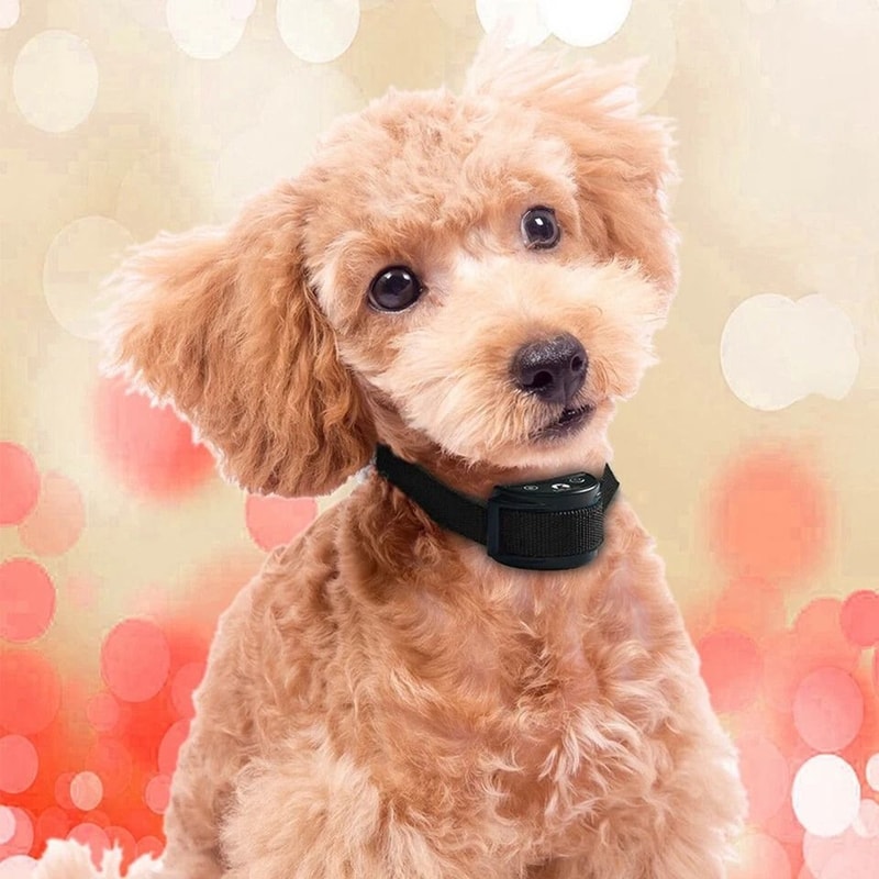 Automatic AntiBark Dog Collar For Large Medium And Small Dogs Humane Shock Sound Control For Barki 15