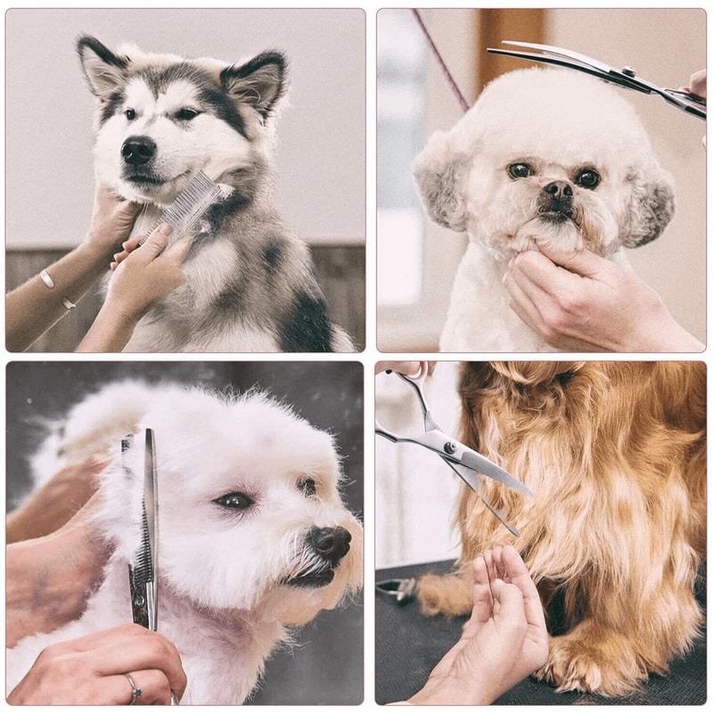 Premium Pet Grooming Scissors Set Stainless Steel Curved Straight And Thinning Shears For Dogs And 10