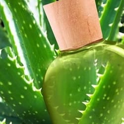 the only after microdermabrasion moisturizer pure organic aloe vera gel, hydrating & healing skincare