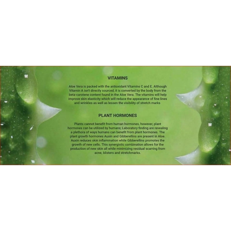 THE ONLY After Microdermabrasion Moisturizer Pure Organic Aloe Vera Gel Hydrating Healing Skincare 2