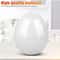 Microwave Egg Boiler Cooker Egg Pod Detachable Shell Steamer Kitchen Cook Tool 4