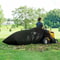 Lawn Tractor Leaf Bag Universal Collection System For Riding Mower 54 Cubic Feet Grass Catcher Bag 0
