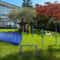 Backyard Dog Agility Training Kit With Jumps Tunnel Obstacle Course For Dogs 6