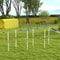 Dog Agility Weave Pole Set Exercise Kit For Outdoor Training Fun 6