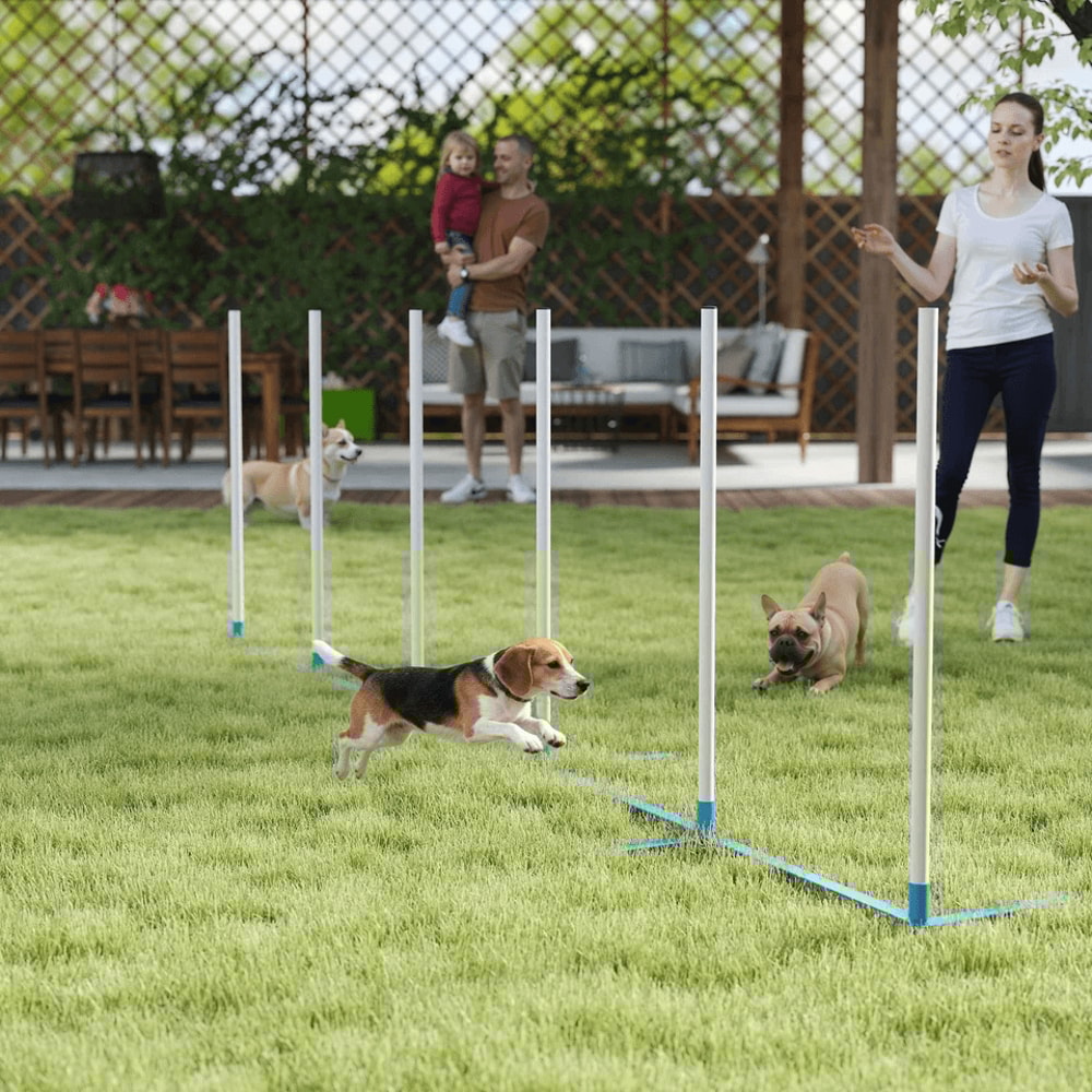 Dog Agility Weave Pole Set Exercise Kit For Outdoor Training Fun 7